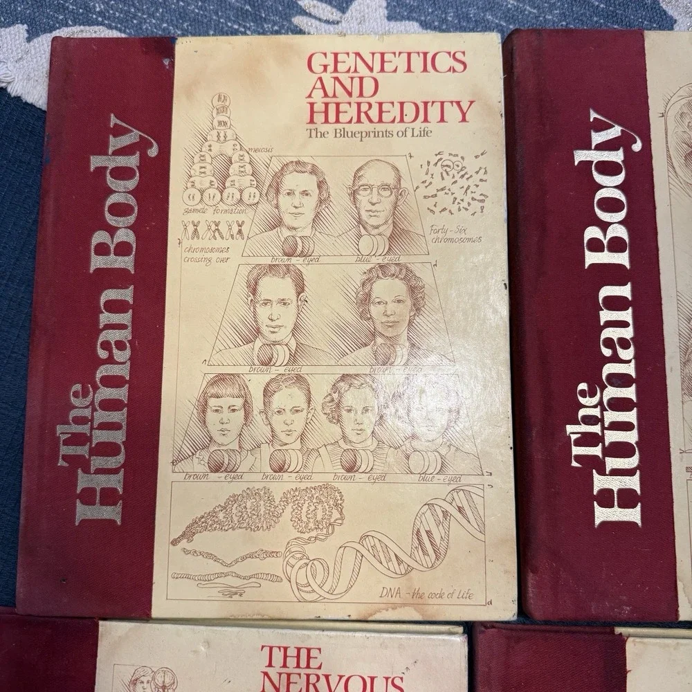 Vintage 80's The Human Body Book Lot 6 HC US News Books Anatomy Science Medical